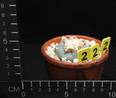 Lophophora williamsii