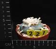 Lophophora williamsii